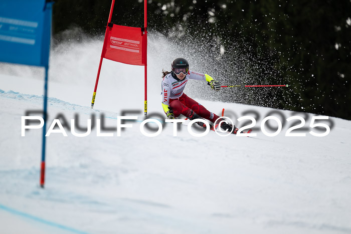 FIS Riesenslalom, Damen + Herren, Deutsche Jugendmeistersachaft 24.01.2025