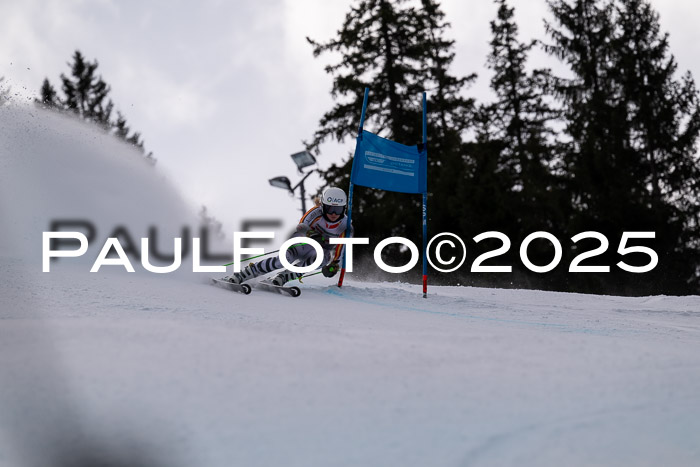 FIS Riesenslalom, Damen + Herren, Deutsche Jugendmeistersachaft 24.01.2025