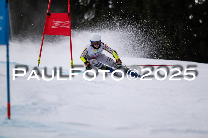 FIS Riesenslalom, Damen + Herren, Deutsche Jugendmeistersachaft 24.01.2025