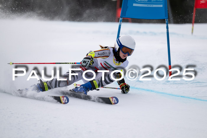 FIS Riesenslalom, Damen + Herren, Deutsche Jugendmeistersachaft 24.01.2025