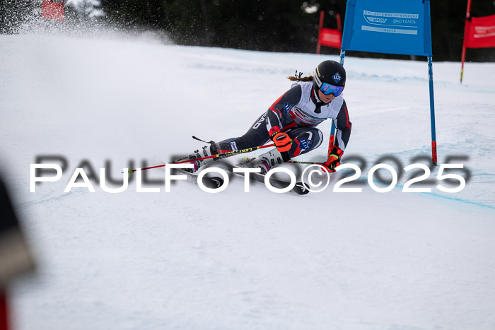 FIS Riesenslalom, Damen + Herren, Deutsche Jugendmeistersachaft 24.01.2025