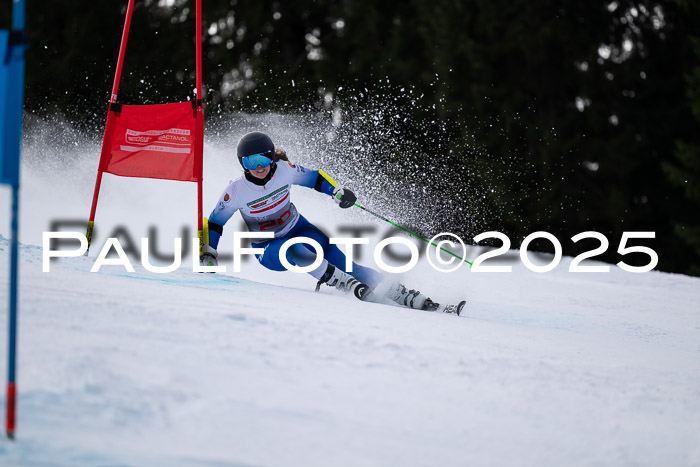 FIS Riesenslalom, Damen + Herren, Deutsche Jugendmeistersachaft 24.01.2025