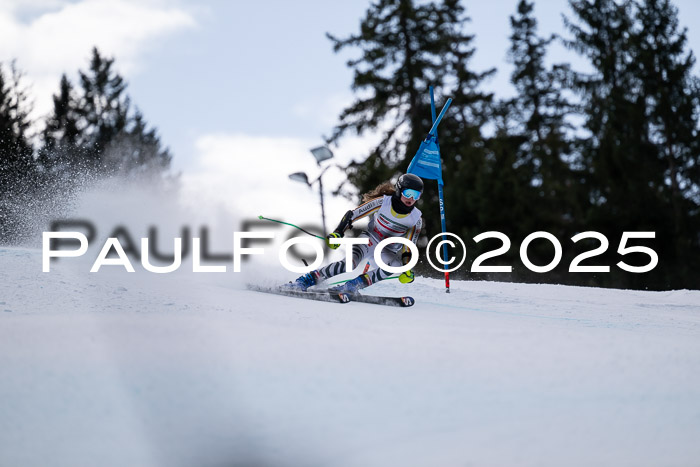 FIS Riesenslalom, Damen + Herren, Deutsche Jugendmeistersachaft 24.01.2025