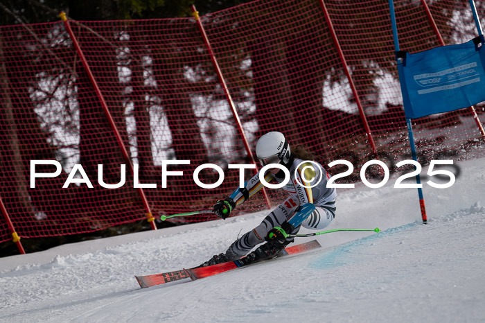 FIS Riesenslalom, Damen + Herren, Deutsche Jugendmeistersachaft 24.01.2025