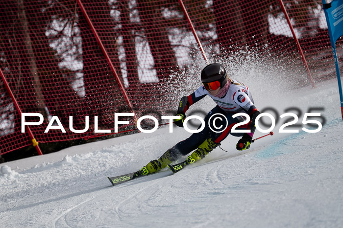 FIS Riesenslalom, Damen + Herren, Deutsche Jugendmeistersachaft 24.01.2025