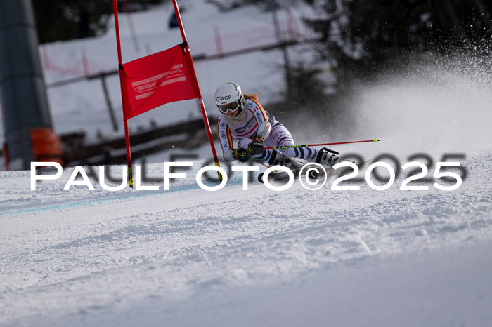 FIS Riesenslalom, Damen + Herren, Deutsche Jugendmeistersachaft 24.01.2025