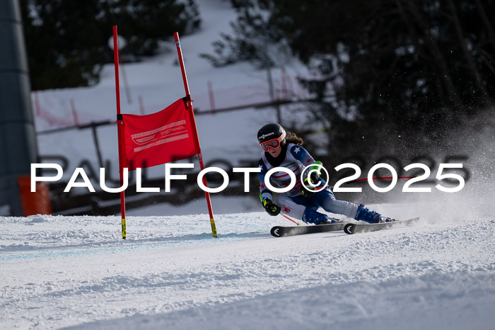 FIS Riesenslalom, Damen + Herren, Deutsche Jugendmeistersachaft 24.01.2025