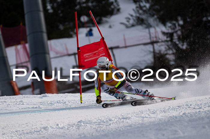 FIS Riesenslalom, Damen + Herren, Deutsche Jugendmeistersachaft 24.01.2025