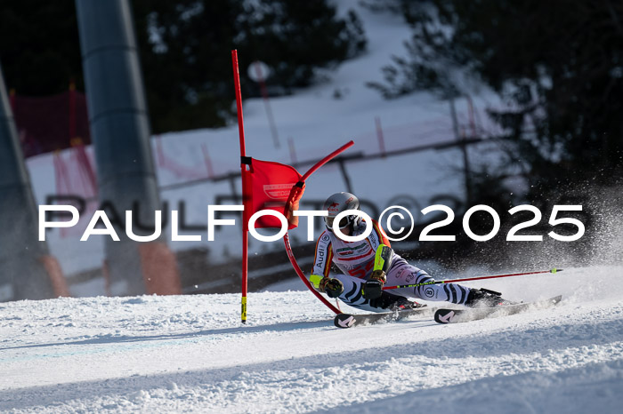 FIS Riesenslalom, Damen + Herren, Deutsche Jugendmeistersachaft 24.01.2025