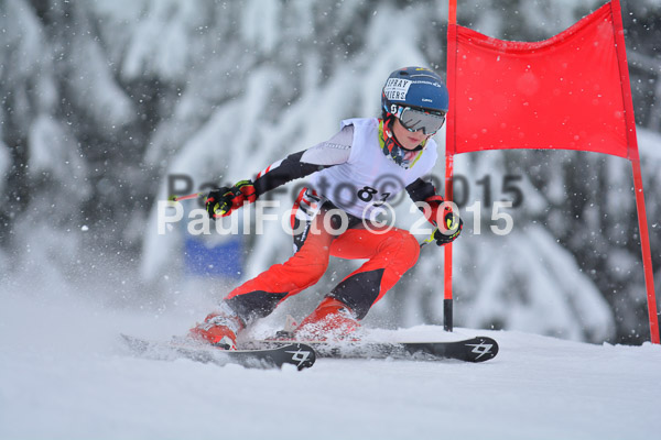 34. Schongauer Zwergerlrennen 2015