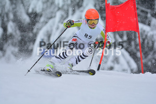 34. Schongauer Zwergerlrennen 2015