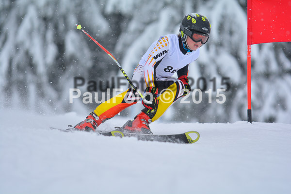 34. Schongauer Zwergerlrennen 2015