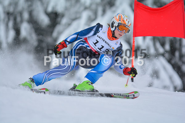 34. Schongauer Zwergerlrennen 2015