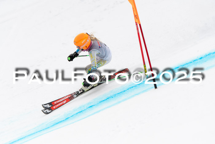 Ziener Kids-Cross M/OL U12 Race Cross IV 2025