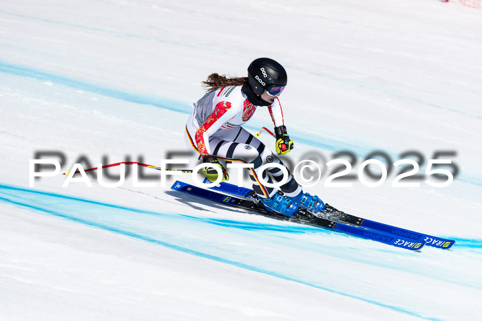 IDM Abfahrt, NC + NJC, Damen und NC + FIS Herren 03.04.2025