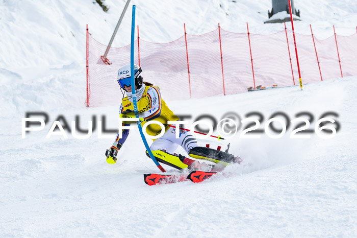 FIS Slalom Damen + NJR Herren, 06.12.2025