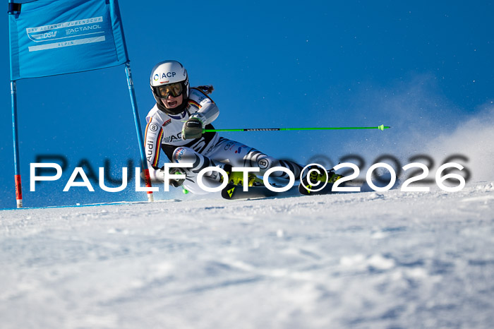 FIS Riesenslalom Damen + Herren Kaltenbach 14.12.2025