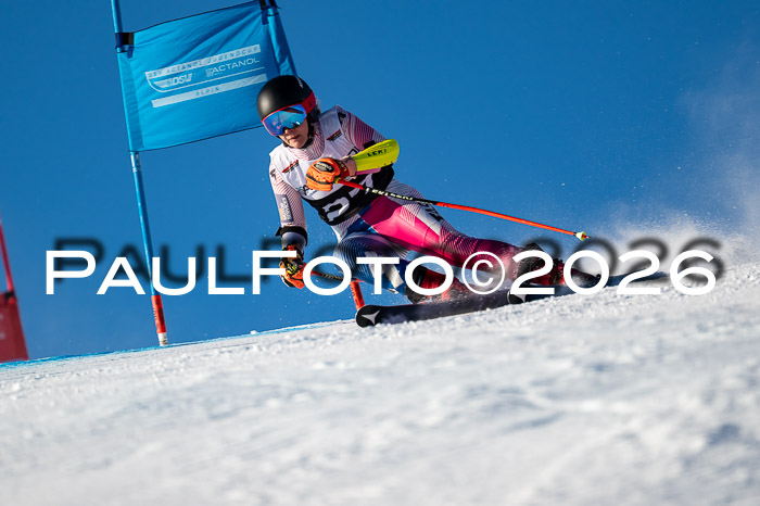 FIS Riesenslalom Damen + Herren Kaltenbach 14.12.2025