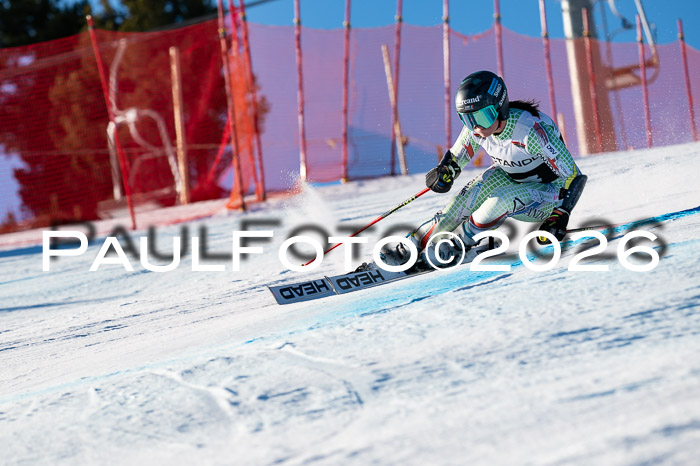 FIS Riesenslalom Damen + Herren Kaltenbach 14.12.2025