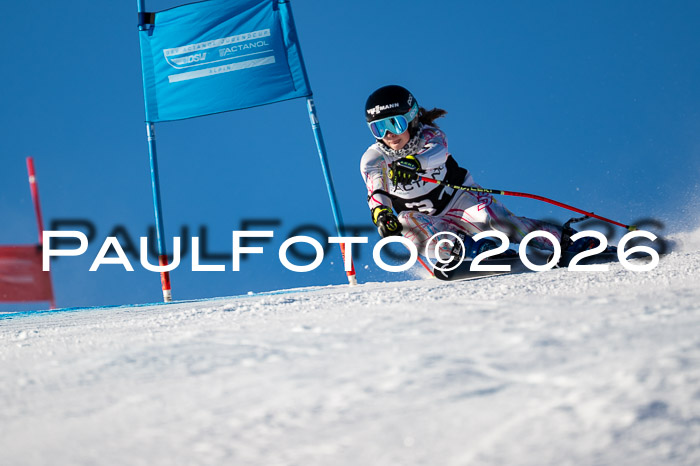 FIS Riesenslalom Damen + Herren Kaltenbach 14.12.2025