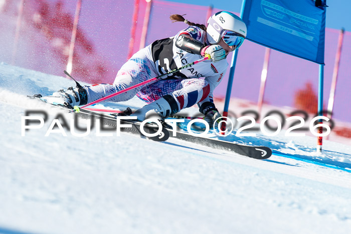 FIS Riesenslalom Damen + Herren Kaltenbach 14.12.2025