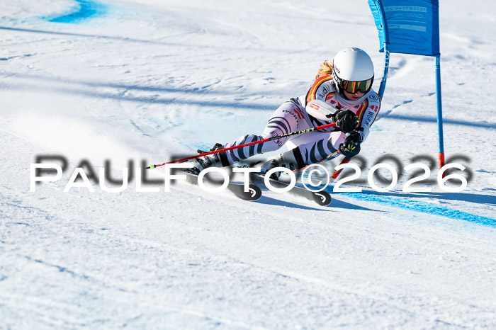 FIS Riesenslalom Damen + Herren Kaltenbach 14.12.2025