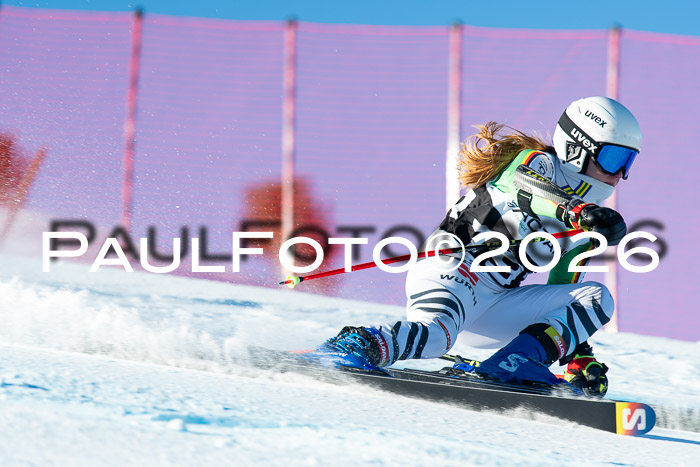 FIS Riesenslalom Damen + Herren Kaltenbach 14.12.2025