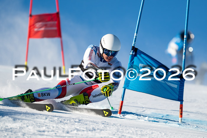 FIS Riesenslalom Damen + Herren Kaltenbach 14.12.2025