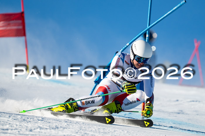FIS Riesenslalom Damen + Herren Kaltenbach 14.12.2025