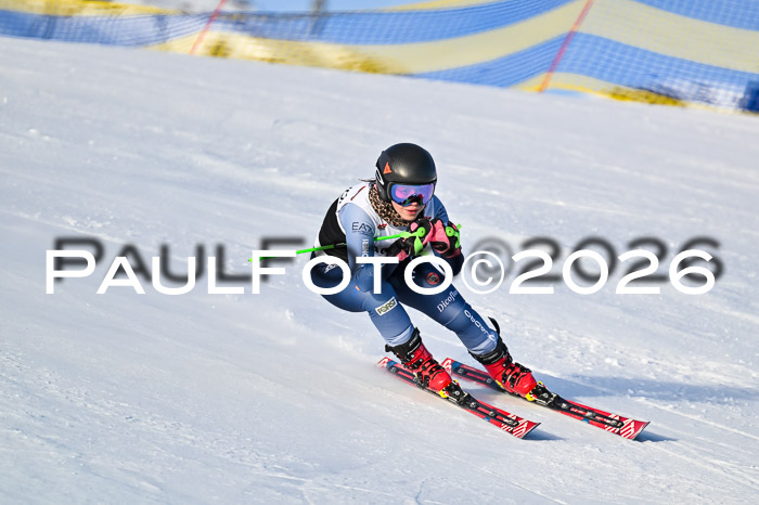 FIS Super-G Damen + Herren Kaltenbach 20.12.2025