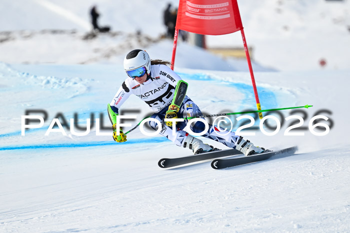 FIS Super-G Damen + Herren Kaltenbach 20.12.2025