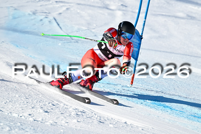 FIS Super-G Damen + Herren Kaltenbach 20.12.2025