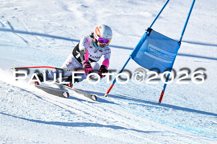 FIS Super-G Damen + Herren Kaltenbach 20.12.2025