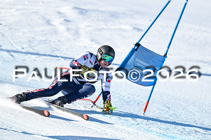 FIS Super-G Damen + Herren Kaltenbach 20.12.2025