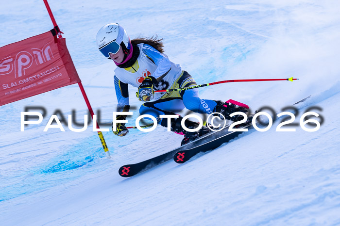München MINI Cup 1. Willi Wein Gedächtnisrennen RS 03.01.2026