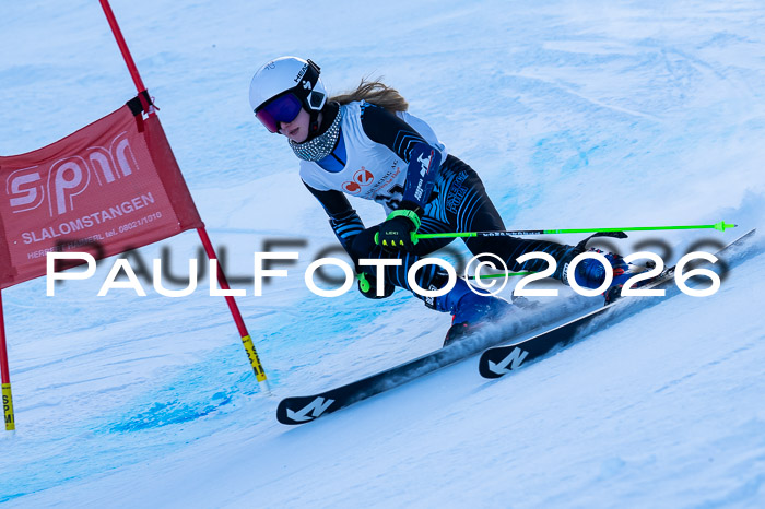 München MINI Cup 1. Willi Wein Gedächtnisrennen RS 03.01.2026