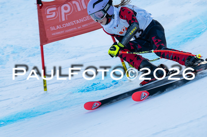München MINI Cup 1. Willi Wein Gedächtnisrennen RS 03.01.2026