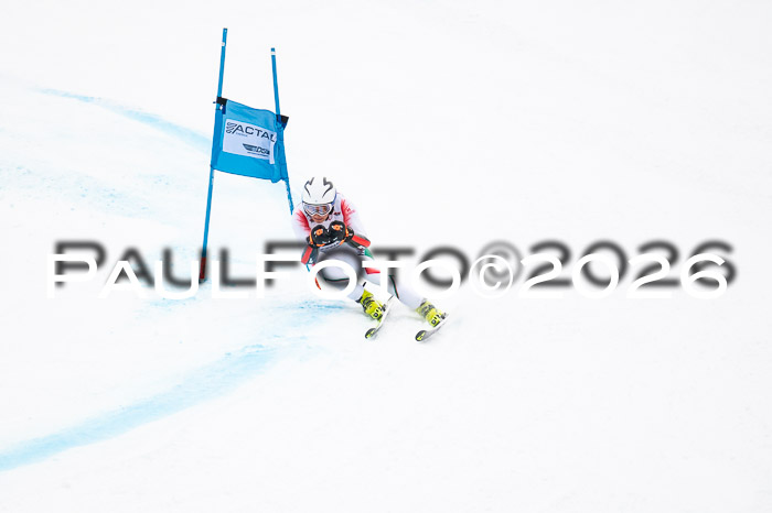 FIS NC Super-G, GER + BRA, Herren  12.01.2026