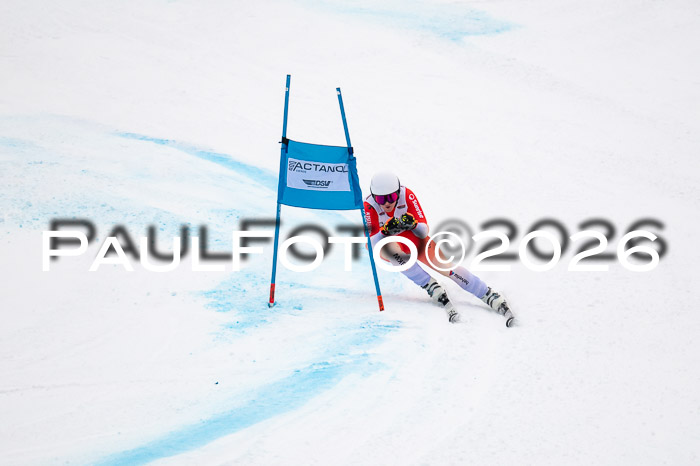 FIS NC Super-G, GER + BRA, Herren  12.01.2026