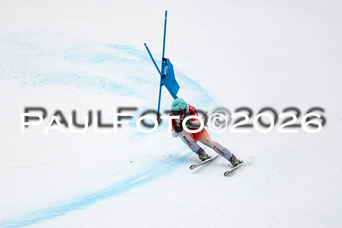 FIS NC Super-G, GER + BRA, Herren  12.01.2026
