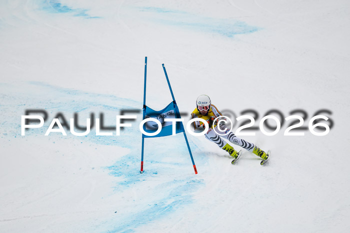 FIS NC Super-G, GER + BRA, Herren  12.01.2026