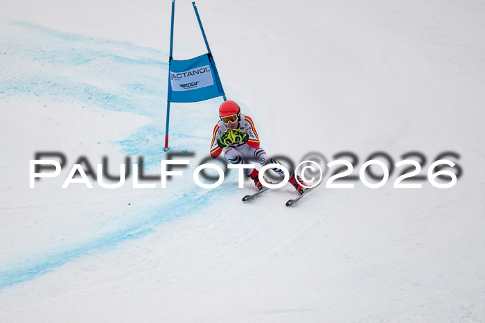 FIS NC Super-G, GER + BRA, Herren  12.01.2026