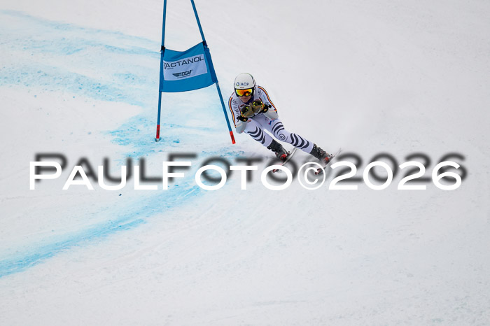 FIS NC Super-G, GER + BRA, Herren  12.01.2026
