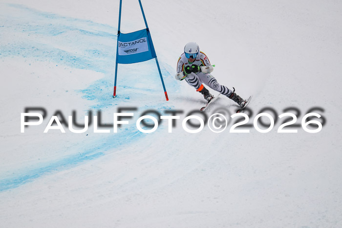 FIS NC Super-G, GER + BRA, Herren  12.01.2026