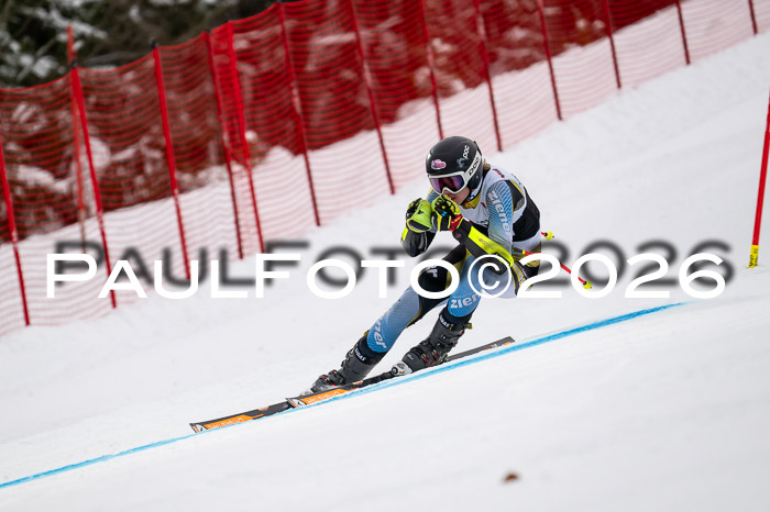 FIS NC Super-G, GER + BRA, Herren  12.01.2026