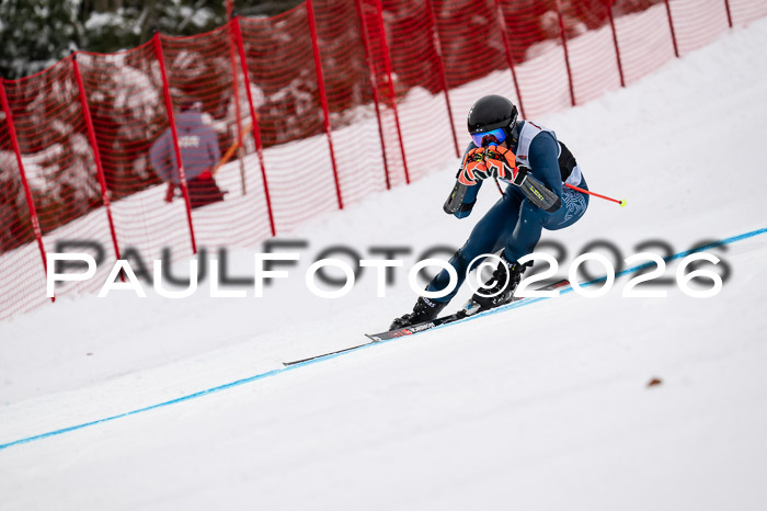 FIS NC Super-G, GER + BRA, Herren  12.01.2026