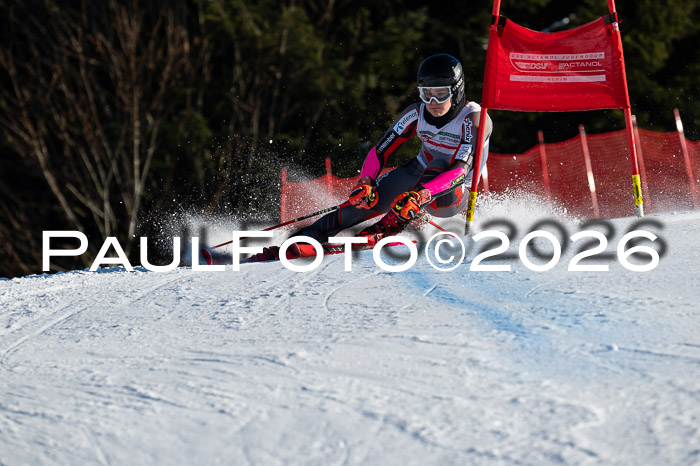 FIS Herren, RS Maria Alm 14.01.2026