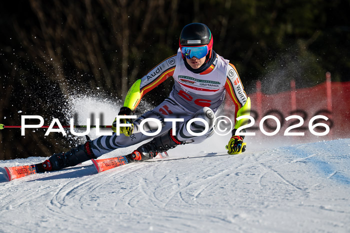 FIS Herren, RS Maria Alm 14.01.2026