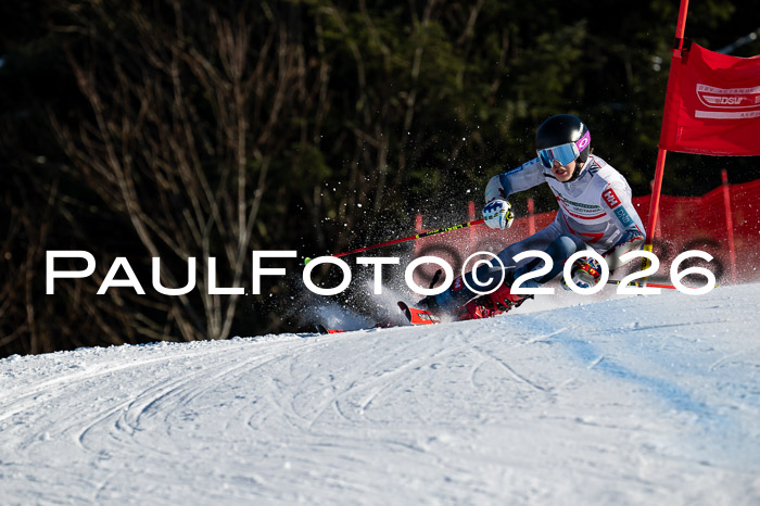 FIS Herren, RS Maria Alm 14.01.2026