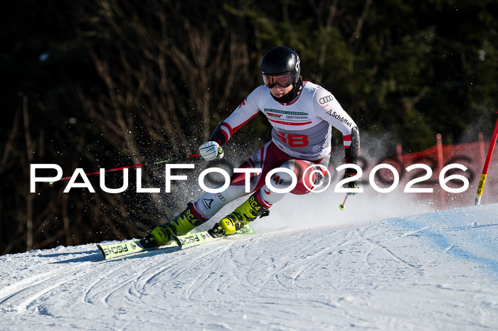 FIS Herren, RS Maria Alm 14.01.2026